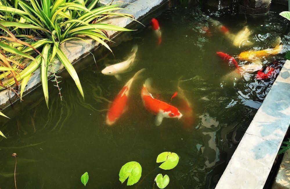 Zak Residence Chiang Mai Eksteriør billede